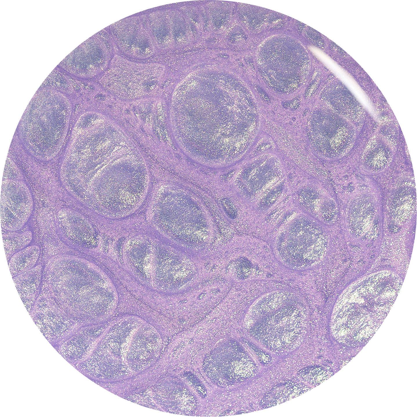 Orly GelFX-Rollin With My Homies 0.6 oz 3010437