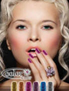 Color Club Magnetic Force Collection