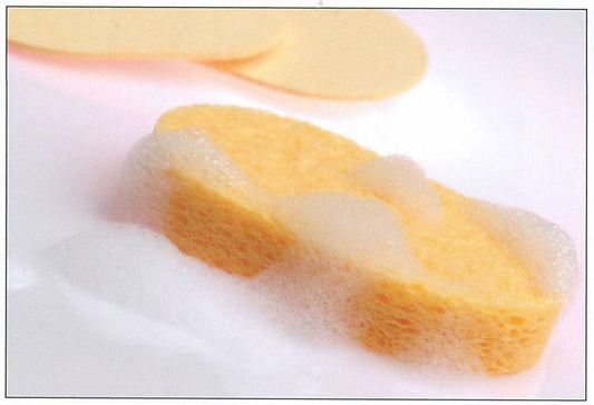 Artist's Choice Compressed Cleansing Sponges 2/pack