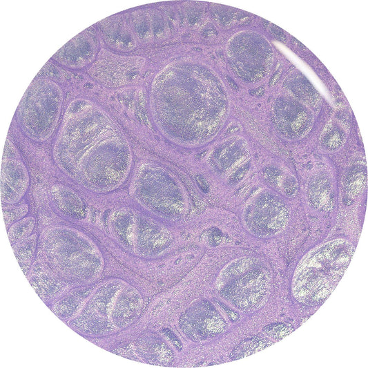 Orly GelFX-Rollin With My Homies 0.6 oz 3010437