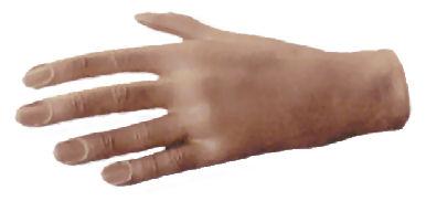Practice Hand