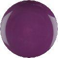 Star Nail Eco So Quick Soak Off Gel-Plum Passion